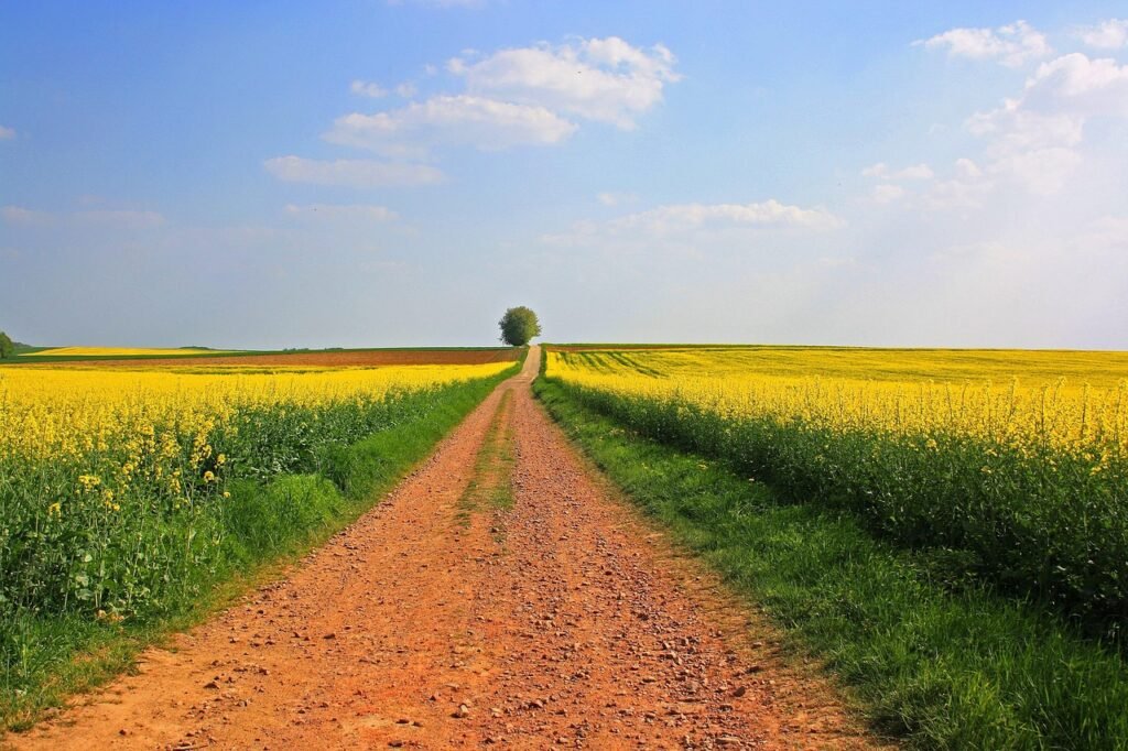 Asphalt for Farm Lanes and Rural Roads