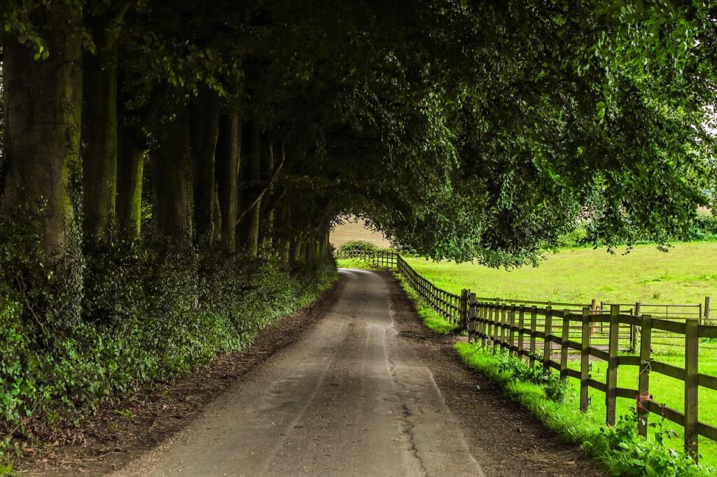 Asphalt for Farm Lanes and Rural Roads
